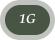 1G